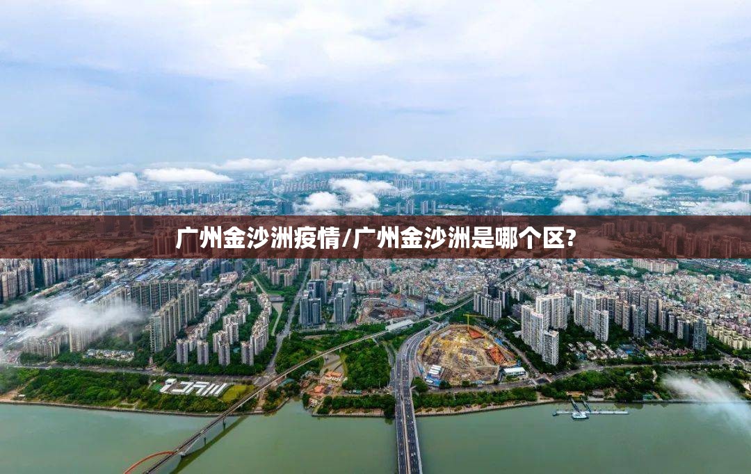 广州金沙洲疫情/广州金沙洲是哪个区?