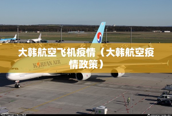 大韩航空飞机疫情(大韩航空疫情政策) 大韩航空飞机疫情(大韩航空疫情政策)