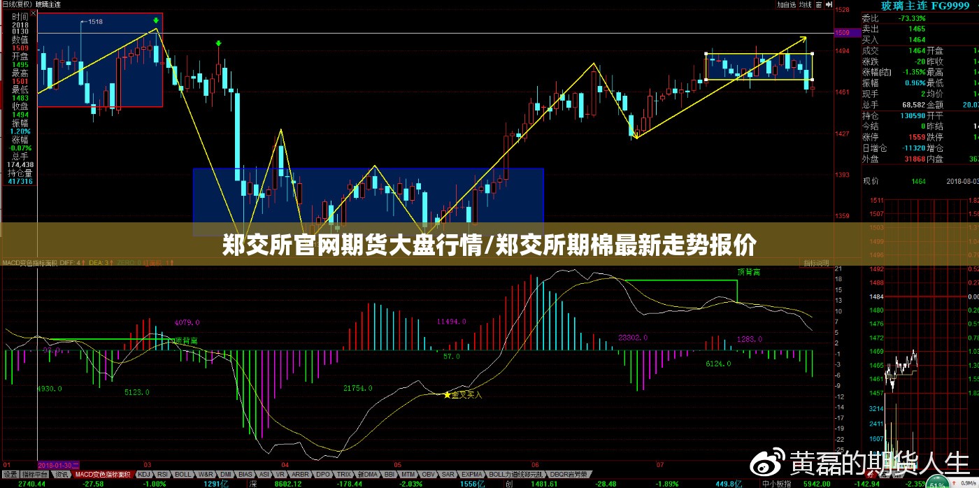 郑交所官网期货大盘行情/郑交所期棉最新走势报价 郑交所官网期货大盘行情/郑交所期棉最新走势报价