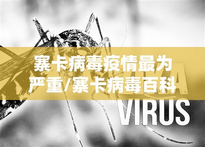 寨卡病毒疫情最为严重/寨卡病毒百科 寨卡病毒疫情最为严重/寨卡病毒百科