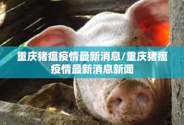 重庆猪瘟疫情最新消息/重庆猪瘟疫情最新消息新闻 重庆猪瘟疫情最新消息/重庆猪瘟疫情最新消息新闻