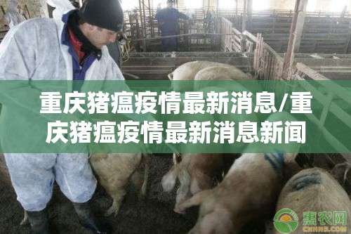 重庆猪瘟疫情最新消息/重庆猪瘟疫情最新消息新闻 重庆猪瘟疫情最新消息/重庆猪瘟疫情最新消息新闻