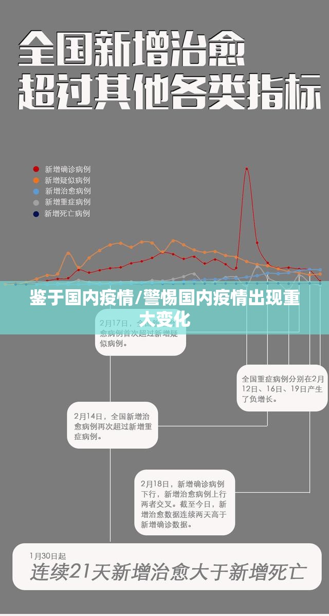鉴于国内疫情/警惕国内疫情出现重大变化 鉴于国内疫情/警惕国内疫情出现重大变化