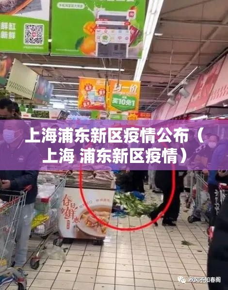 上海浦东新区疫情公布(上海 浦东新区疫情) 上海浦东新区疫情公布(上海 浦东新区疫情)