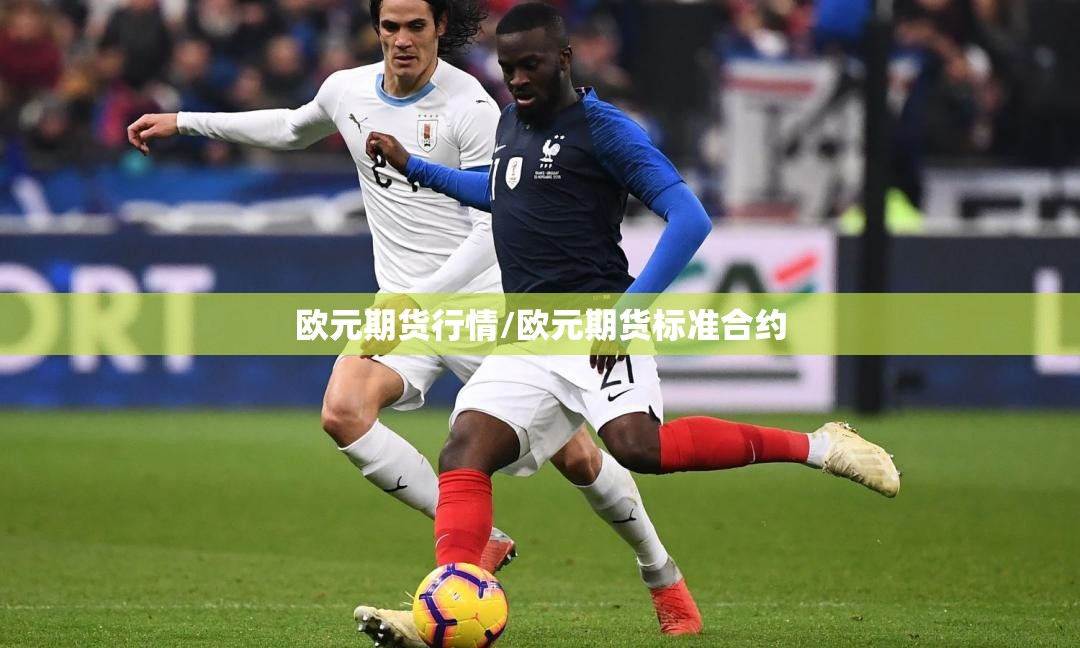 欧元期货行情/欧元期货标准合约 欧元期货行情/欧元期货标准合约