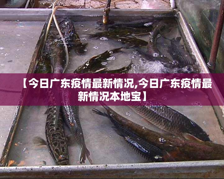 【今日广东疫情最新情况,今日广东疫情最新情况本地宝】 【今日广东疫情最新情况,今日广东疫情最新情况本地宝】