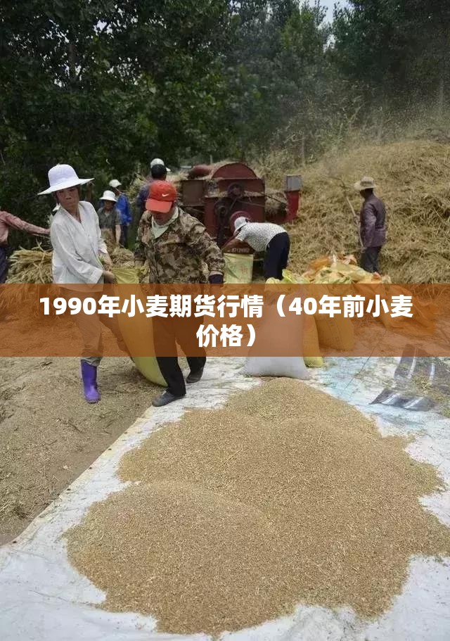 1990年小麦期货行情（40年前小麦价格）