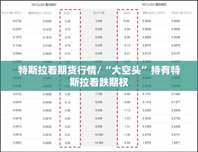 特斯拉看期货行情/“大空头	”持有特斯拉看跌期权