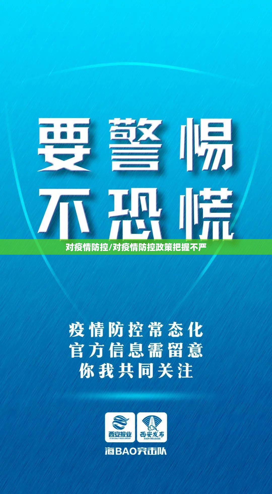 对疫情防控/对疫情防控政策把握不严