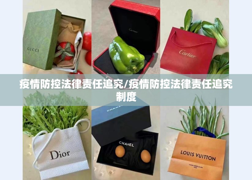 疫情防控法律责任追究/疫情防控法律责任追究制度