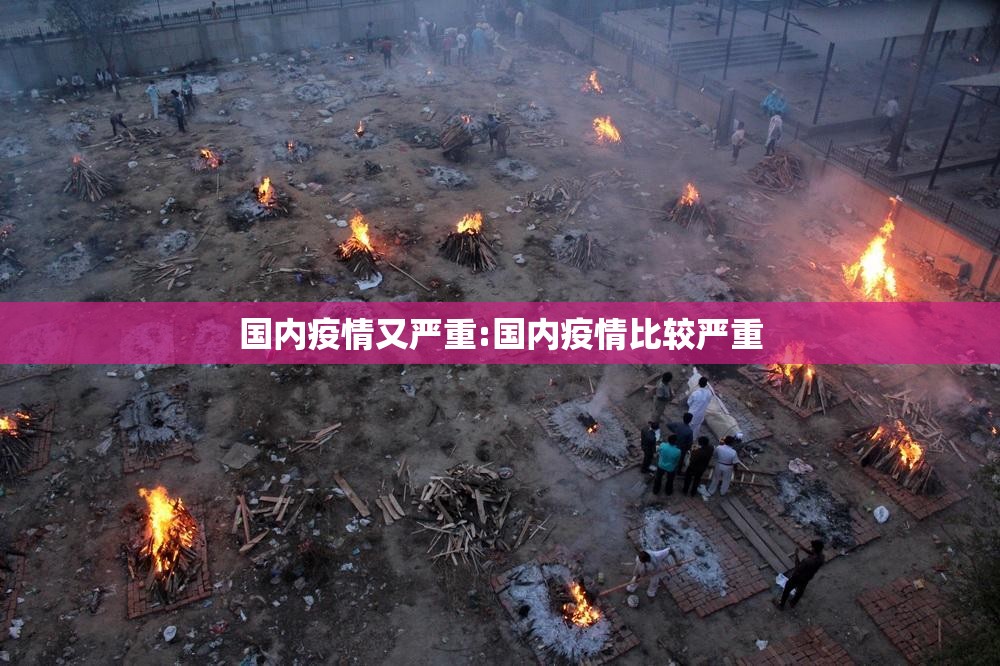 国内疫情又严重:国内疫情比较严重