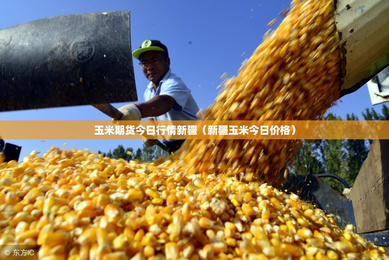 玉米期货今日行情新疆（新疆玉米今日价格）