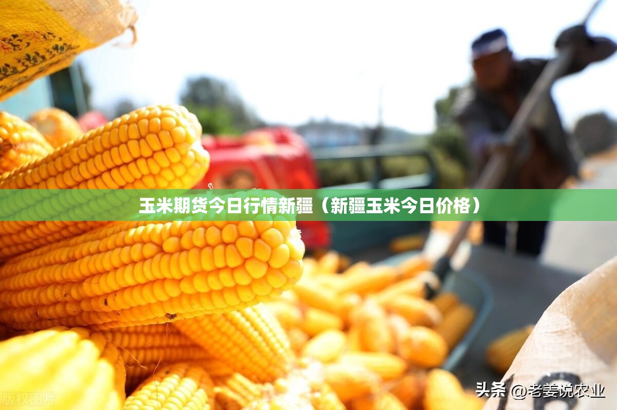 玉米期货今日行情新疆（新疆玉米今日价格）