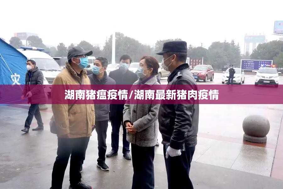 湖南猪瘟疫情/湖南最新猪肉疫情 湖南猪瘟疫情/湖南最新猪肉疫情