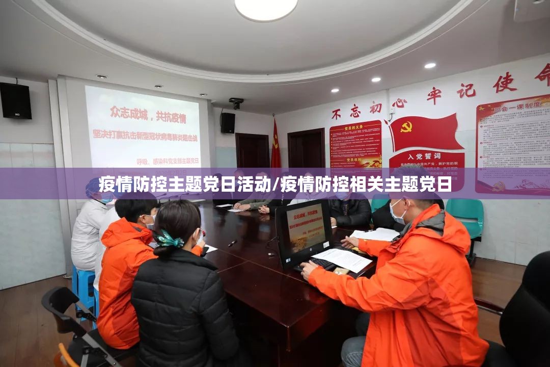 疫情防控主题党日活动/疫情防控相关主题党日