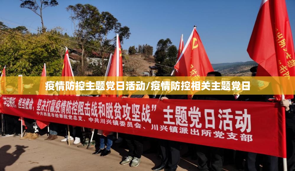 疫情防控主题党日活动/疫情防控相关主题党日