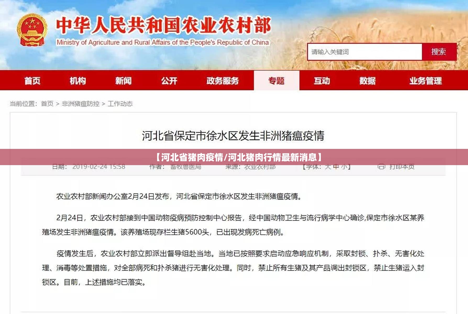 【河北省猪肉疫情/河北猪肉行情最新消息】