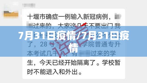 7月31日疫情/7月31曰疫情