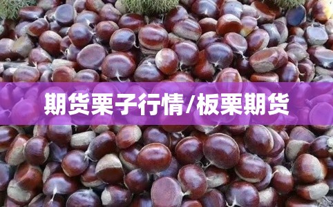 期货栗子行情/板栗期货 期货栗子行情/板栗期货