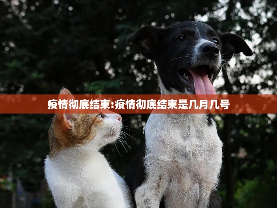 疫情彻底结束:疫情彻底结束是几月几号