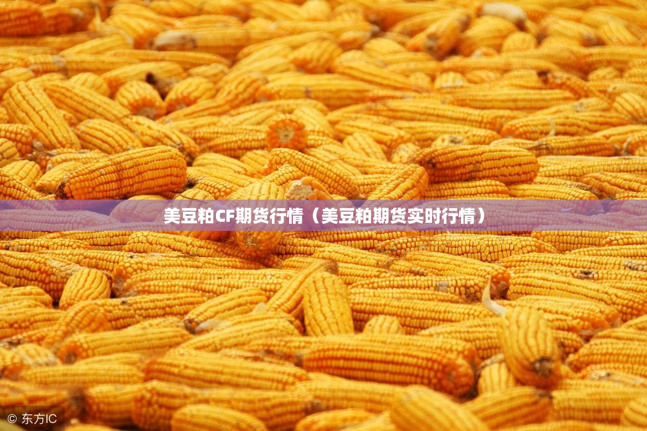 美豆粕CF期货行情（美豆粕期货实时行情）