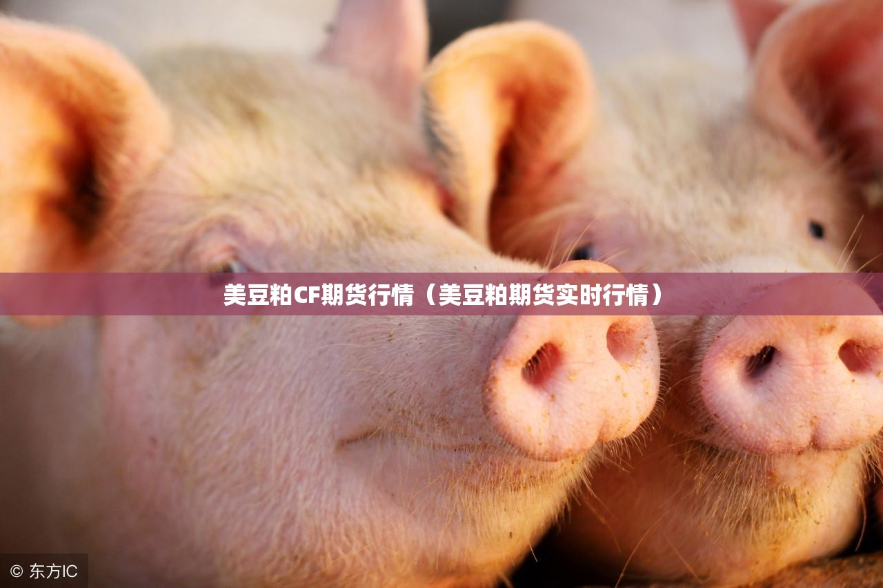 美豆粕CF期货行情（美豆粕期货实时行情）