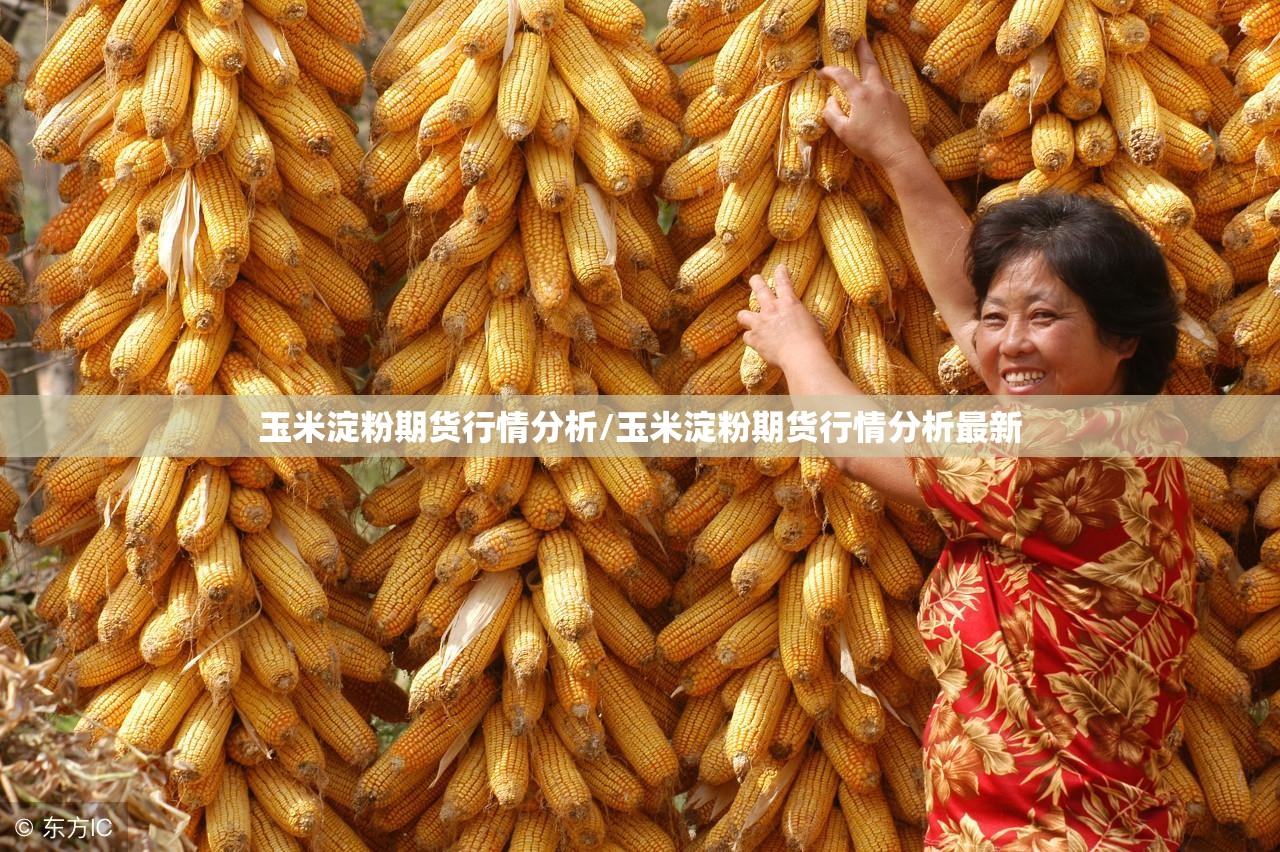 玉米淀粉期货行情分析/玉米淀粉期货行情分析最新 玉米淀粉期货行情分析/玉米淀粉期货行情分析最新