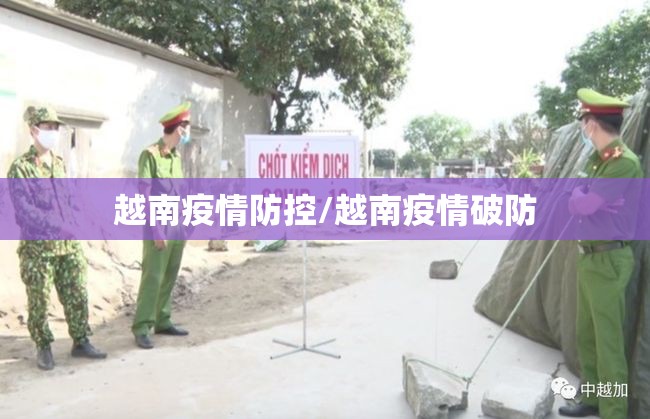 越南疫情防控/越南疫情破防