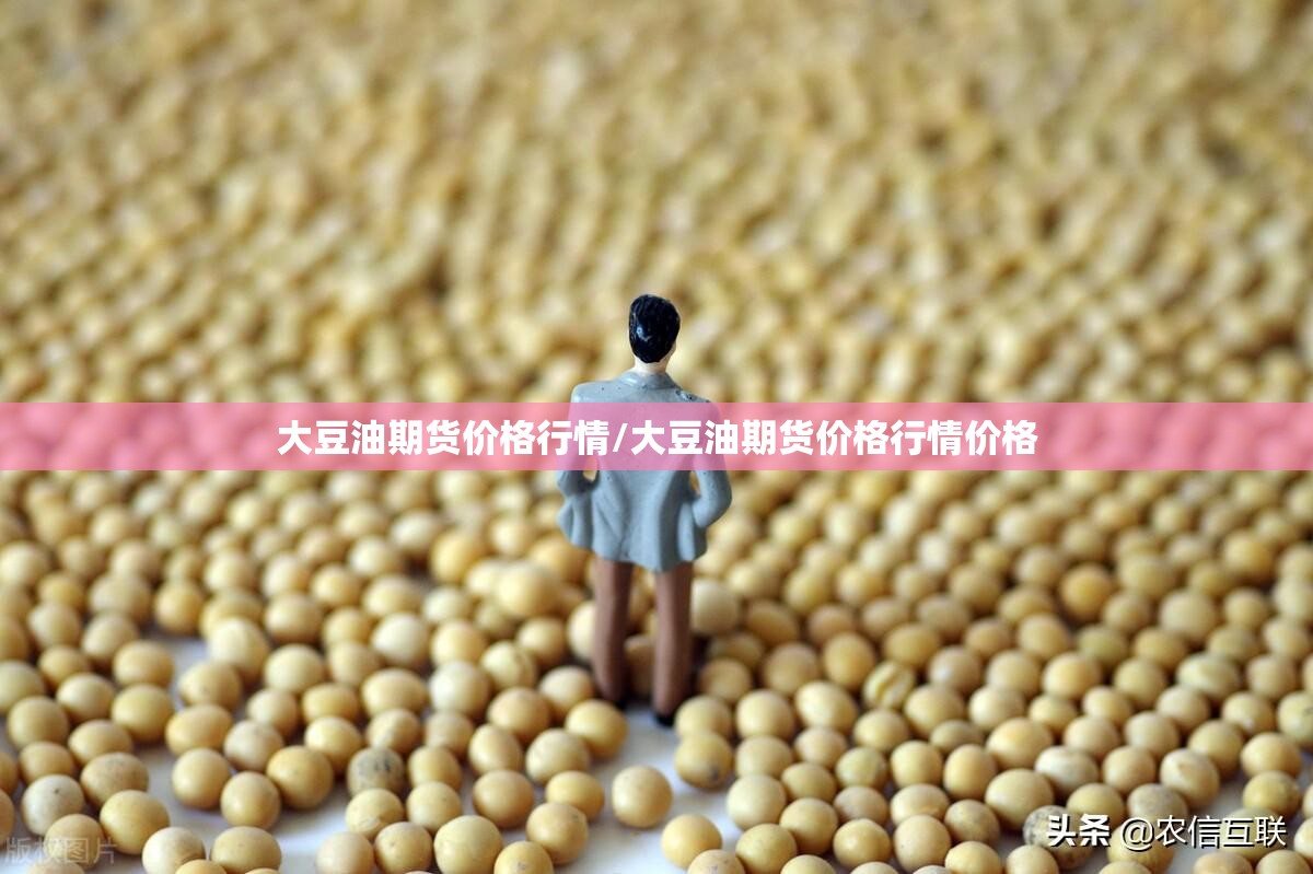 大豆油期货价格行情/大豆油期货价格行情价格