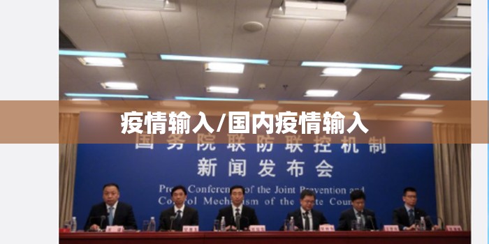 疫情输入/国内疫情输入 疫情输入/国内疫情输入