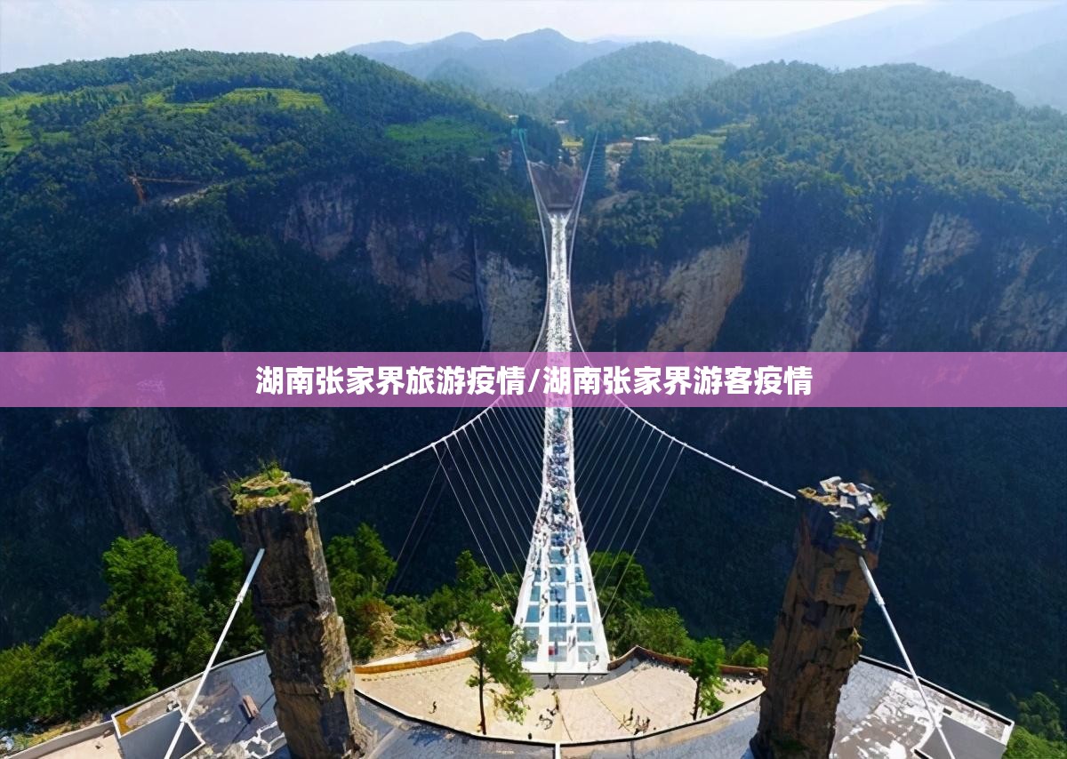 湖南张家界旅游疫情/湖南张家界游客疫情 湖南张家界旅游疫情/湖南张家界游客疫情