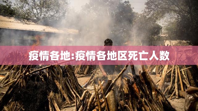 疫情各地:疫情各地区死亡人数