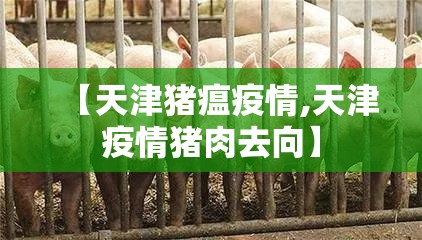 【天津猪瘟疫情,天津疫情猪肉去向】 【天津猪瘟疫情,天津疫情猪肉去向】