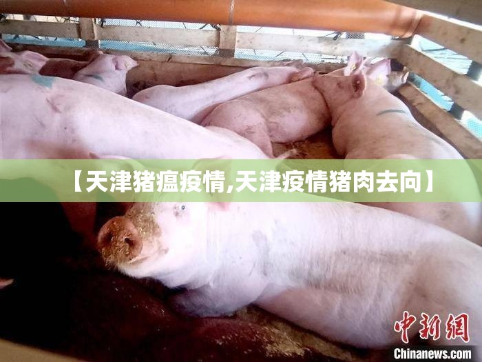 【天津猪瘟疫情,天津疫情猪肉去向】 【天津猪瘟疫情,天津疫情猪肉去向】
