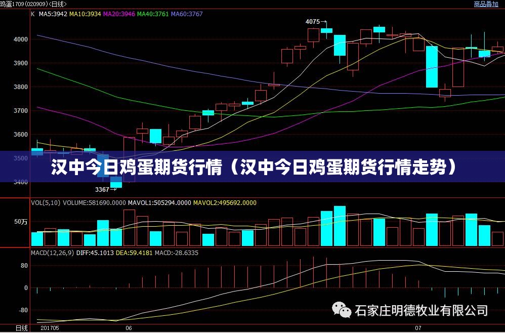 汉中今日鸡蛋期货行情（汉中今日鸡蛋期货行情走势）