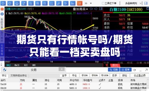 期货只有行情帐号吗/期货只能看一档买卖盘吗