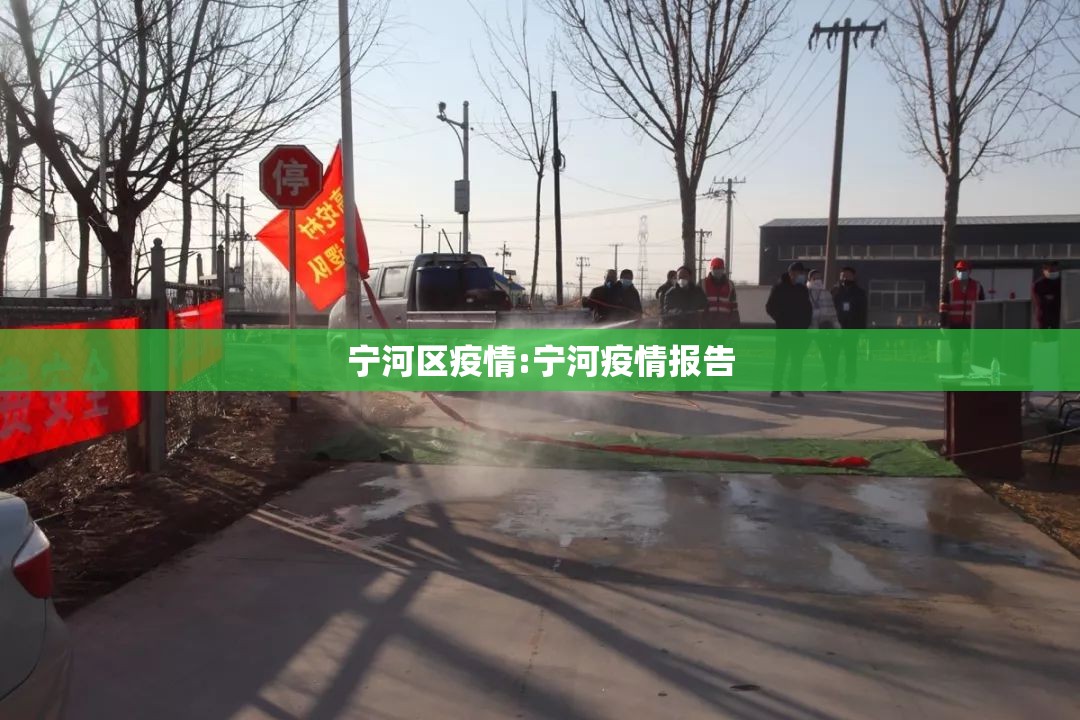 宁河区疫情:宁河疫情报告 宁河区疫情:宁河疫情报告
