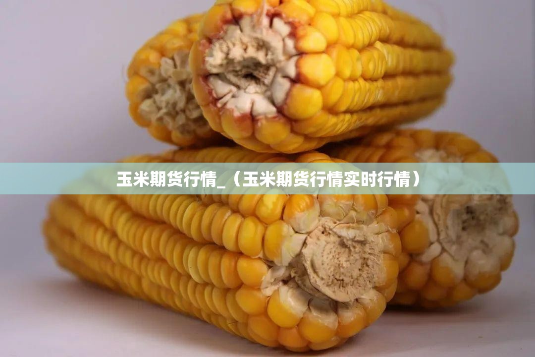 玉米期货行情_（玉米期货行情实时行情）