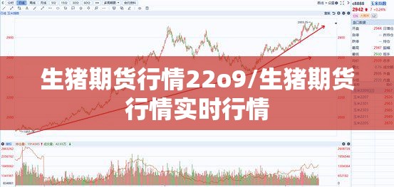 生猪期货行情22o9/生猪期货行情实时行情 生猪期货行情22o9/生猪期货行情实时行情