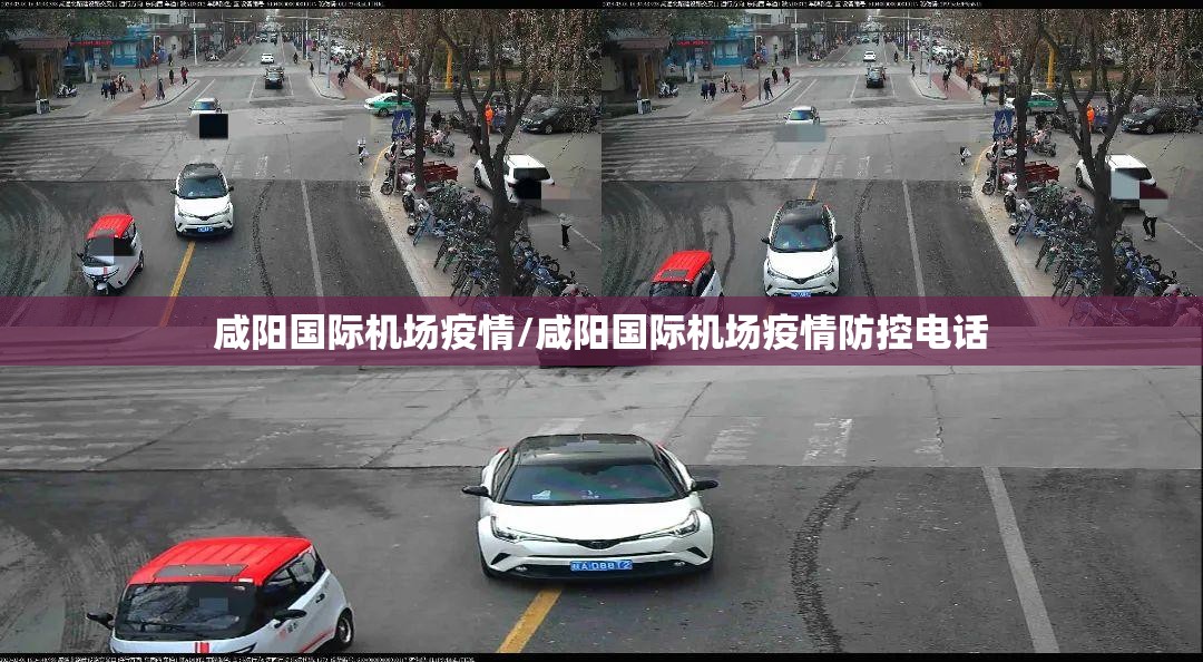 咸阳国际机场疫情/咸阳国际机场疫情防控电话 咸阳国际机场疫情/咸阳国际机场疫情防控电话