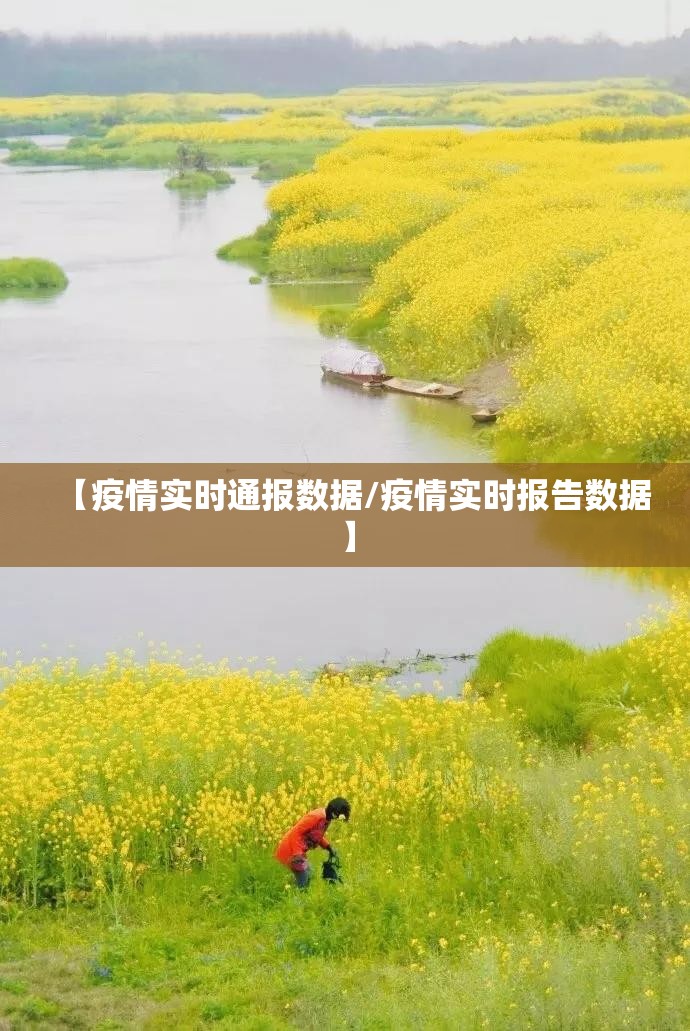 【疫情实时通报数据/疫情实时报告数据】