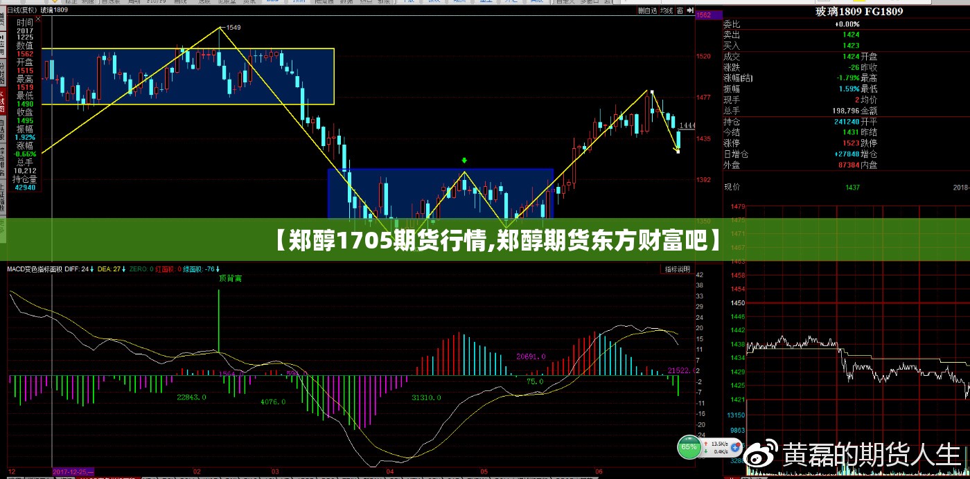 【郑醇1705期货行情,郑醇期货东方财富吧】