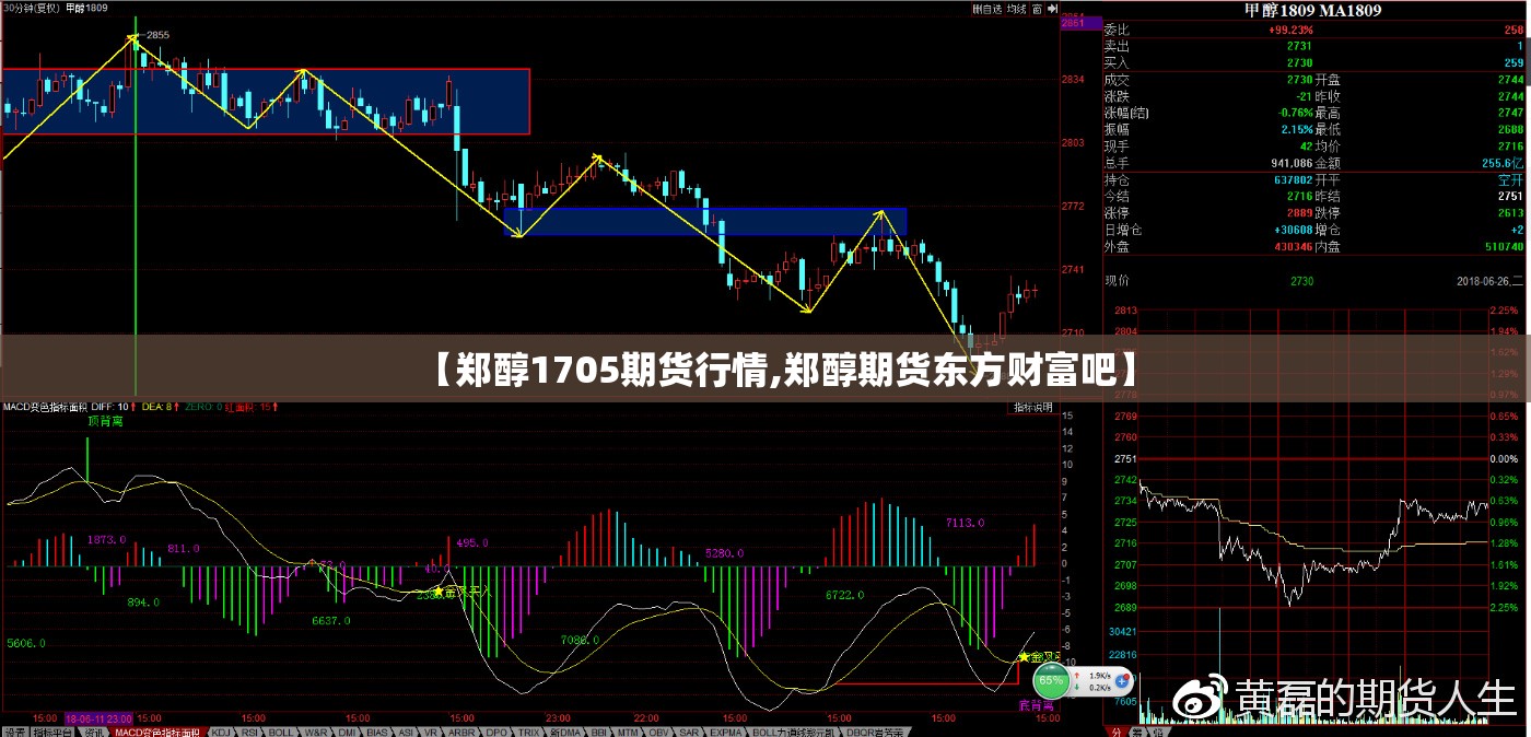 【郑醇1705期货行情,郑醇期货东方财富吧】