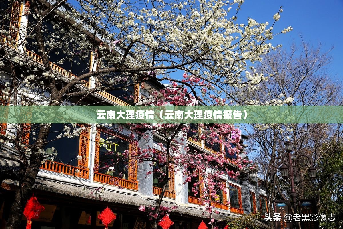 云南大理疫情（云南大理疫情报告）