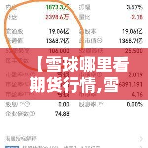 【雪球哪里看期货行情,雪球网站怎么看炒股排名】