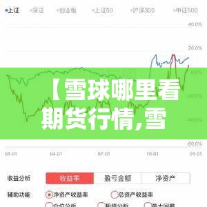 【雪球哪里看期货行情,雪球网站怎么看炒股排名】