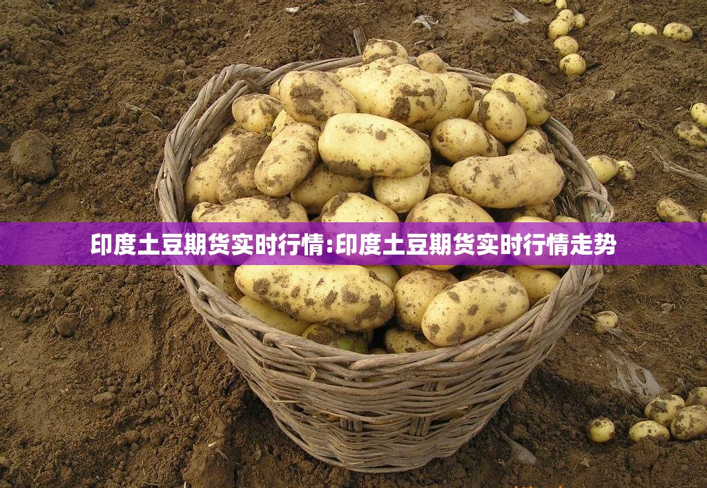 印度土豆期货实时行情:印度土豆期货实时行情走势 印度土豆期货实时行情:印度土豆期货实时行情走势