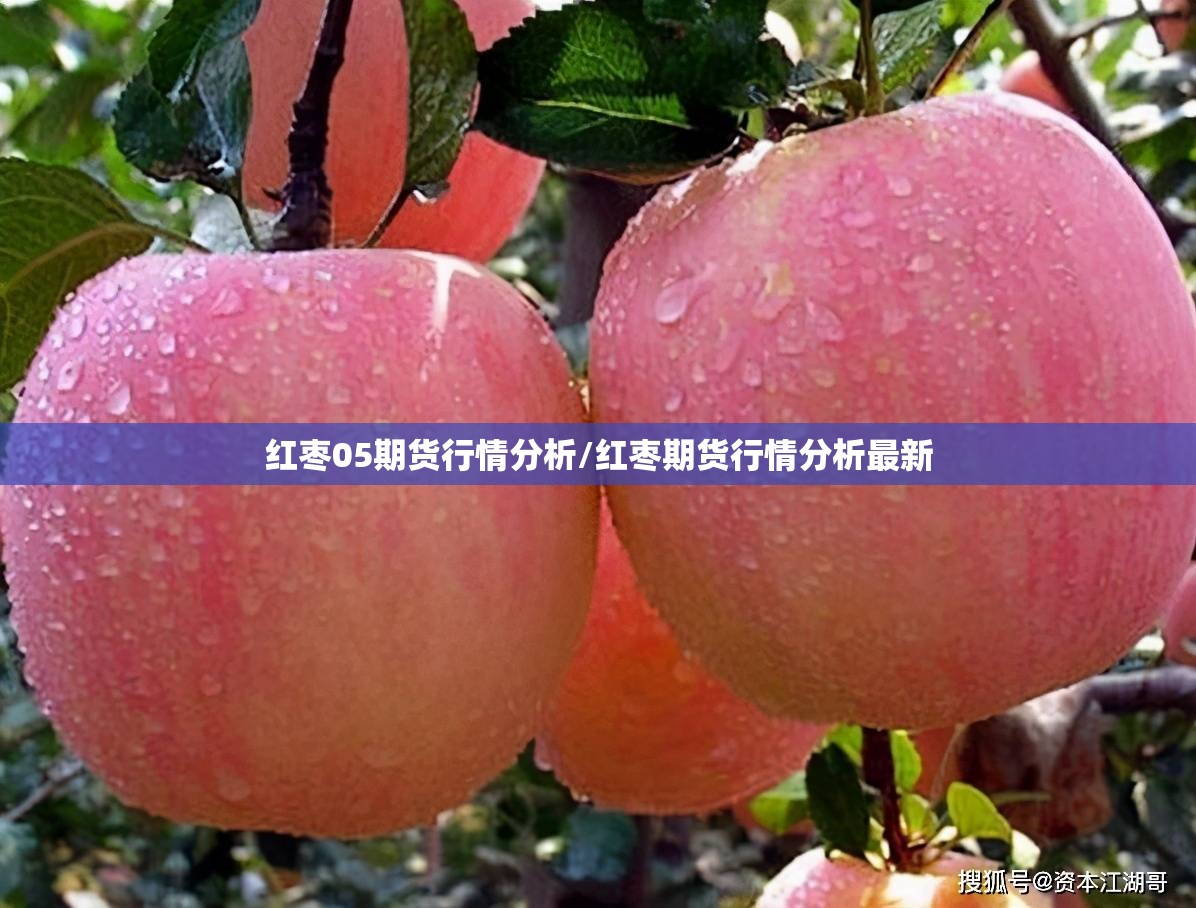 红枣05期货行情分析/红枣期货行情分析最新 红枣05期货行情分析/红枣期货行情分析最新