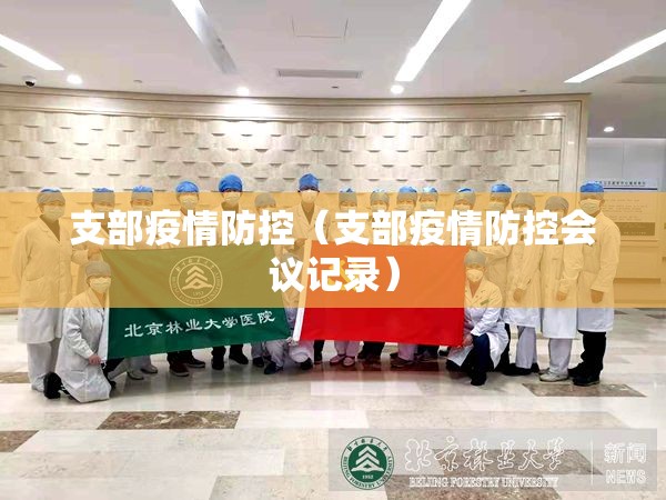 支部疫情防控(支部疫情防控会议记录) 支部疫情防控(支部疫情防控会议记录)
