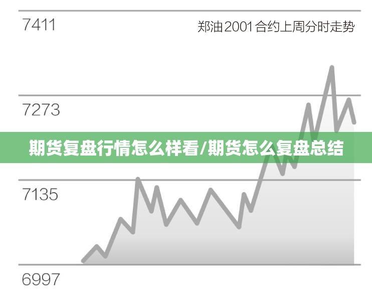 期货复盘行情怎么样看/期货怎么复盘总结
